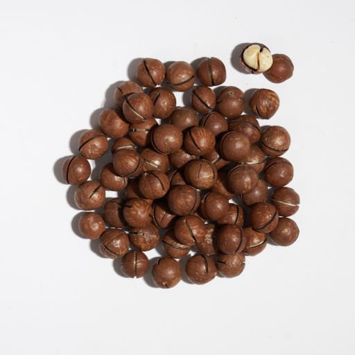 Makademya Fındığı 